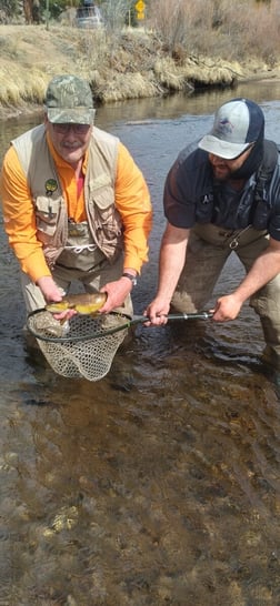 Brown Trout fishing in Littleton, Colorado