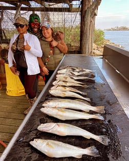 Black Drum, Speckled Trout Fishing in Surfside Beach, Texas