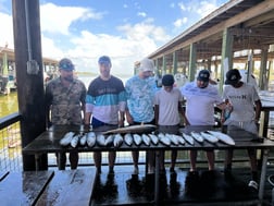 Speckled Trout / Spotted Seatrout fishing in Galveston, Texas