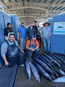 Wahoo Fishing in Galveston, Texas