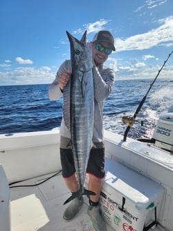 King Mackerel / Kingfish, Wahoo Fishing in Layton Key, Florida