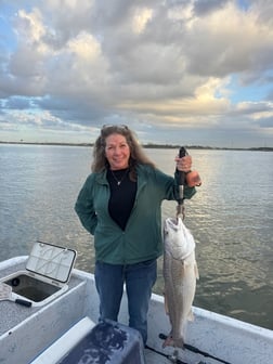 Fishing in Galveston, Texas