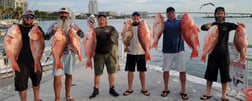 Red Snapper fishing in Clearwater, Florida