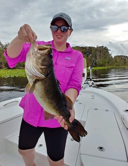 Snook Fishing in St. Augustine, Florida