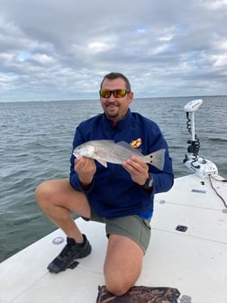 Redfish Fishing in Sarasota, Florida