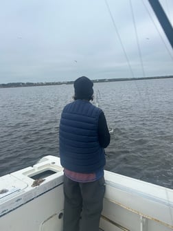 Fishing in Biloxi, Mississippi