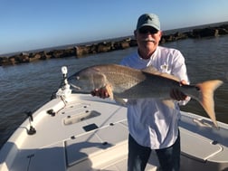 Black Drum Fishing in League City, Texas