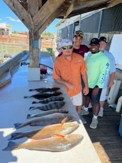 Black Drum, Redfish Fishing in Galveston, Texas