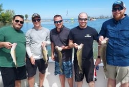 Walleye fishing in Lakeside Marblehead, Ohio