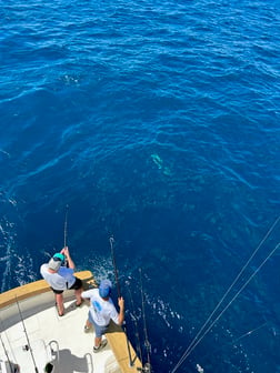 Fishing in Islamorada, Florida