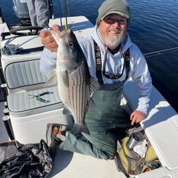 Striped Bass Fishing in Trails End Road, Wilmington, N, North Carolina