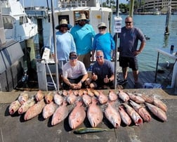 Red Grouper, Red Snapper Fishing in Clearwater, Florida