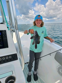 Black Seabass Fishing in Stone Harbor, New Jersey