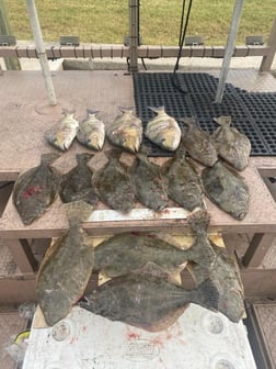 Flounder Fishing in Galveston, Texas