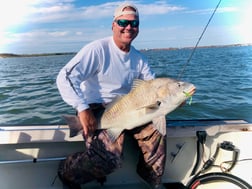 Black Drum Fishing in Galveston, Texas