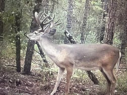 Hunting in Jacksonville Beach, Florida