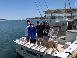 Sheepshead Fishing in Hilton Head Island, South Carolina