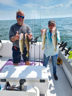 Walleye fishing in Lakeside Marblehead, Ohio