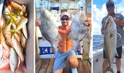 Amberjack, Triggerfish, Yellowtail Snapper Fishing in Clearwater, Florida