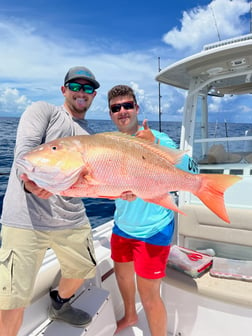 Mutton Snapper Fishing in Layton Key, Florida