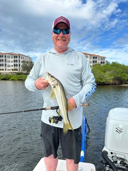 Blacktip Shark Fishing in Sarasota, Florida