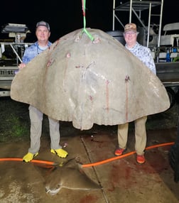 Ray Fishing in Ocean Pines, Maryland