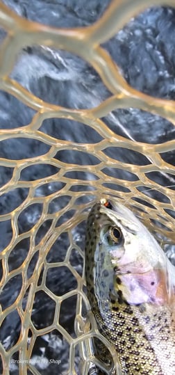 Fishing in Broken Bow, Oklahoma