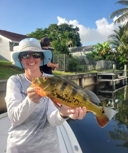 Peacock Bass fishing in Delray Beach, Florida