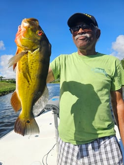 Fishing in Fort Lauderdale, Florida