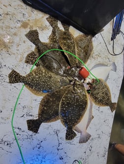 Flounder Fishing in Rio Hondo, Texas