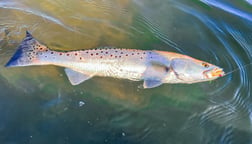 Redfish Fishing in New Smyrna Beach, Florida