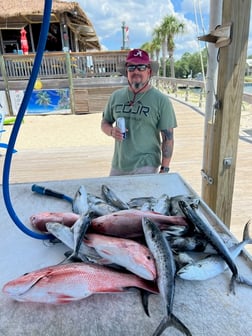 Red Snapper, Spanish Mackerel Fishing in Orange Beach, Alabama