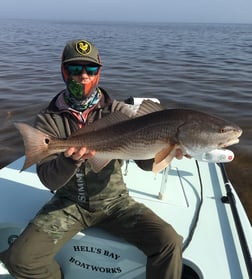 Redfish Fishing in Apalachicola, Florida