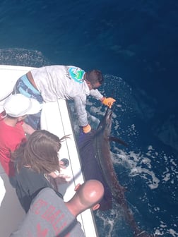 Sailfish Fishing in Playa Flamingo, Costa Rica