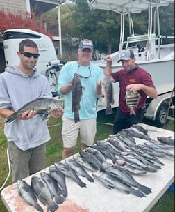 Tilefish, Yellowfin Tuna Fishing in Jupiter, Florida