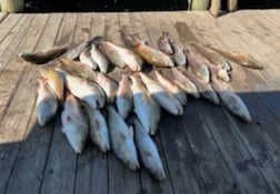 Fishing in Port O'Connor, Texas