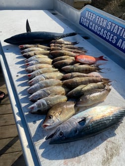 Fishing in Destin, Florida