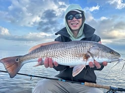 Fishing in Miami, Florida