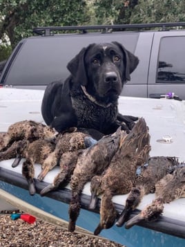 Texas Teal Adventure