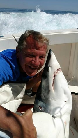 Half Day Shark Fishing Trip