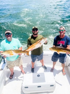 Biloxi Nearshore Variety Trip