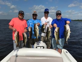 Bass Fishing the Kissimmee