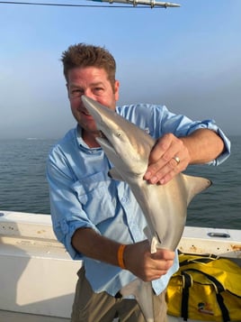 Blacktip Shark Fishing in Galveston, Texas