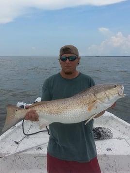 Redfish Fishing in Gulf Shores, Alabama