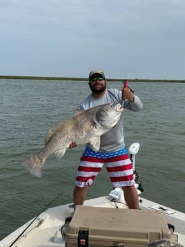 Black Drum Fishing in Freeport, Texas