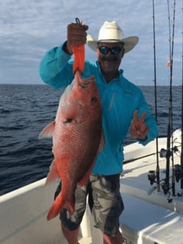 Red Snapper Fishing in Panama City, Florida