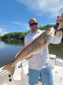 Redfish Fishing in St. Petersburg, Florida