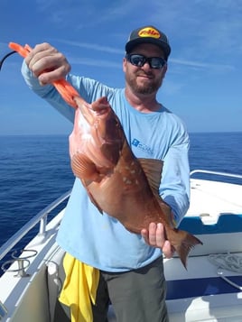 Offshore Fishing Frenzy