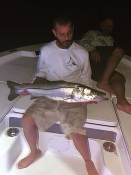 Snook Fishing in Key Biscayne, Florida