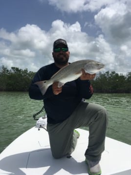 Redfish Fishing in Key Largo, Florida